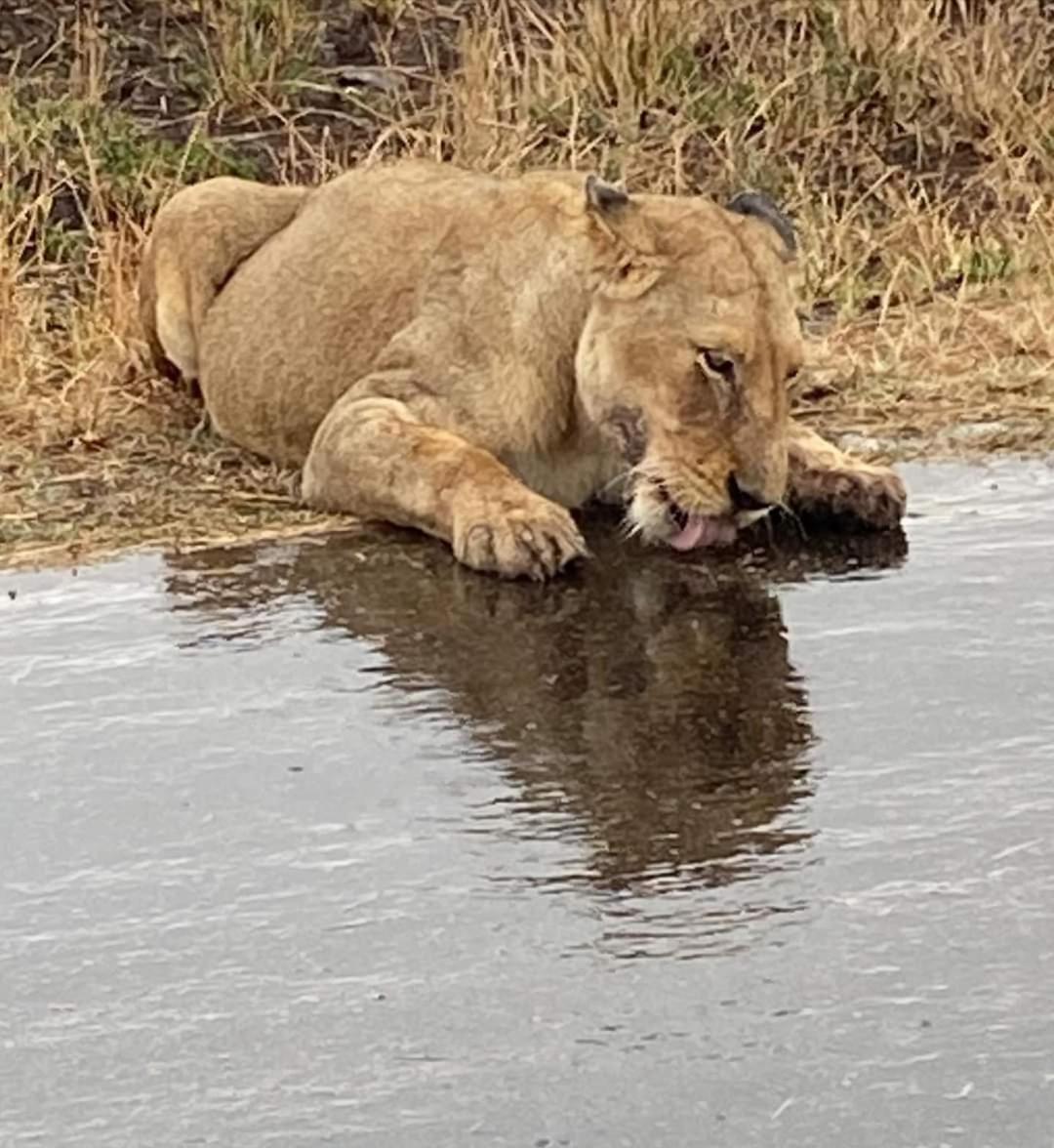 Overnight Stop Before Kruger National Park Phalaborwa Ngoại thất bức ảnh